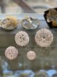 画像4: 神聖幾何学 フラーレン 3mm.4mm.6mm.8mm.10mm / ローズクオーツ  (4)